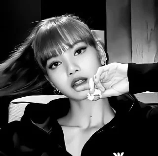 🫀 emoji lisa_#top#krashiha Telegram sticker 2 of 28
