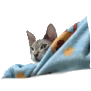 😡 emoji Лексус Telegram sticker 5 of 15