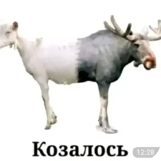 📯 emoji Чзх не ебанулся | @zyphhir Telegram sticker 22 of 120