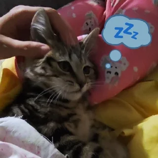 💤 emoji сахарок няняня Telegram sticker 6 of 15