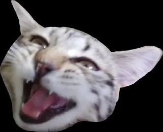 🤯 emoji сахарок няняня Telegram sticker 1 of 15