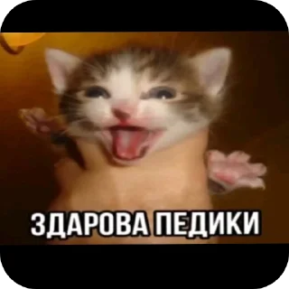 🤲 emoji локал мемс :: @chgur228 Telegram sticker 13 of 59