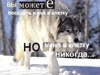 🤨 emoji алга Telegram sticker 18 of 62