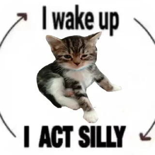 🐱 emoji Пушистек Telegram sticker 13 of 13