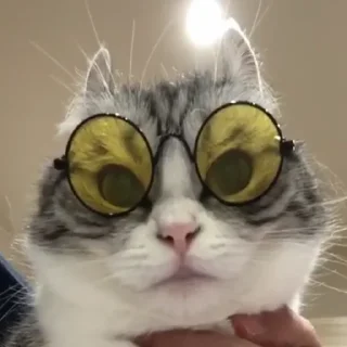 🤓 emoji купить бы джып Telegram sticker 3 of 30