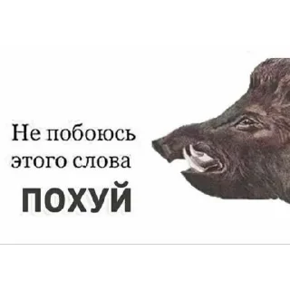 😋 emoji а хули нам сатанистам Telegram sticker 8 of 86