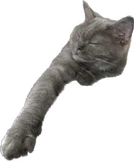 ✋ emoji Pussy rules Telegram sticker 11 of 14