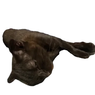 🫥 emoji Нюшка Telegram sticker 19 of 22