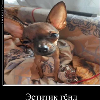 🧴 emoji Бебрик Telegram sticker 6 of 9