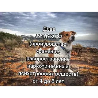 🐶 emoji самат иди нахуй Telegram sticker 14 of 120