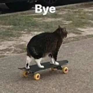 👋 emoji Передрузья какиета Telegram sticker 21 of 120