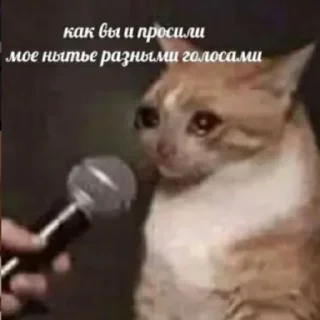 😭 emoji Передрузья какиета Telegram sticker 11 of 120