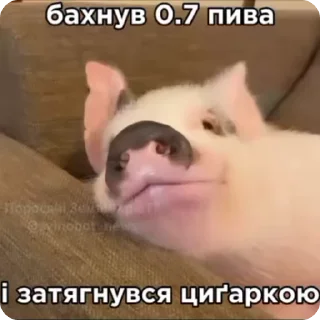 🤨 emoji рандом3 @shashluchokstickers Telegram sticker 23 of 45