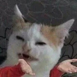 🧐 emoji котікіі Telegram sticker 16 of 33