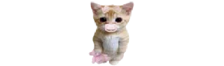 🐈 emoji @EARTH928B <- БОЛЬШЕ Telegram sticker 10 of 30