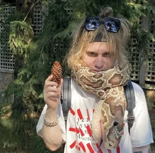 🌲 emoji кастямба Telegram sticker 24 of 46