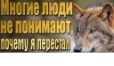 Sticker from это не амурский тигр