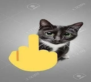 🖕 emoji какие то лошки и николька Telegram sticker 12 of 21