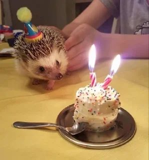 🦔 emoji оди вирт Telegram sticker 5 of 8