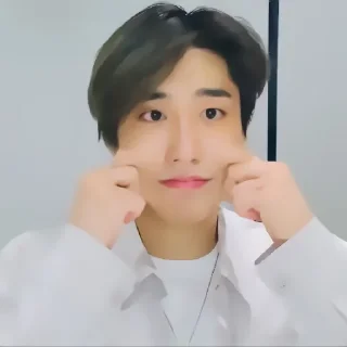 🔖 emoji ✦ ָ ֙⋆ jisung by @paradoxstickers Telegram sticker 16 of 25