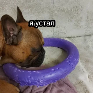 😢 emoji Жора Telegram sticker 20 of 61