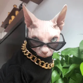 😎 emoji котики х2 | @sutqi & @emojis4 Telegram sticker 3 of 100