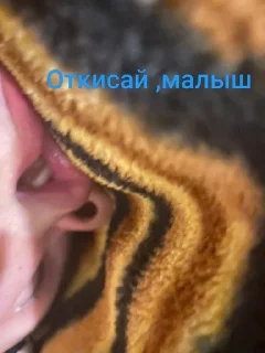 Sticker from Туса