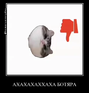 🌟 emoji Стикеры 👉 @animokubot Telegram sticker 21 of 45