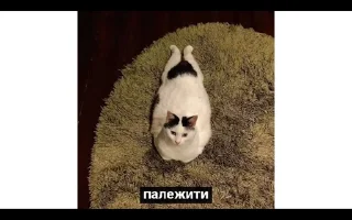 Sticker from Котячные буханки