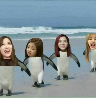 🌟 emoji ☆BLACKPINK☆ Telegram sticker 6 of 21