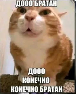 ☺️ emoji БОЛЬШЕ ⇨ @CLOOBHUB МЕМЫ MEMES TG ТГ ДЖОКЕР JOKER Telegram sticker 8 of 56
