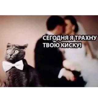 🫥 emoji наикрутейшесть Telegram sticker 10 of 23