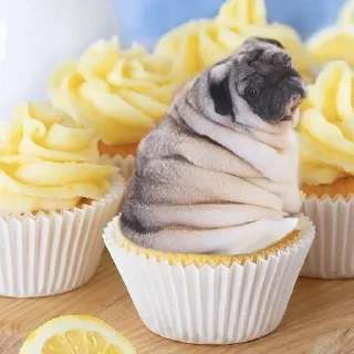 😋 emoji морсы Telegram sticker 15 of 120