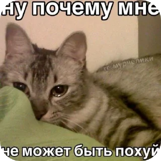 😭 emoji Прикольные картинки Telegram sticker 6 of 55