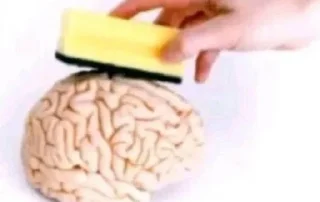 🧠 emoji хуета Telegram sticker 10 of 70