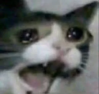 😭 emoji Булочки-токсики Telegram sticker 15 of 16