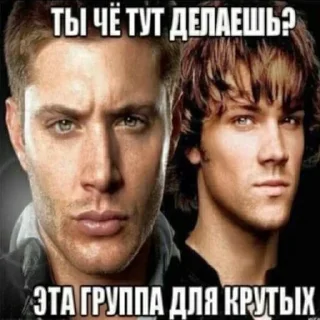 😎 emoji Стикеры для разъеба Telegram sticker 23 of 80