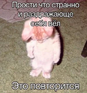 🌟 emoji Злые котята Telegram sticker 13 of 50
