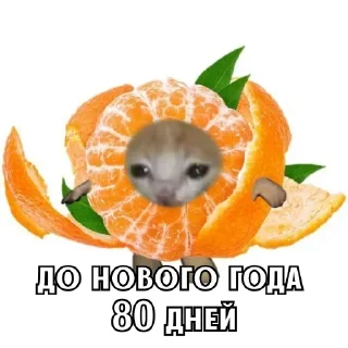🎄 emoji До НГ осталось @Earth928B Telegram sticker 21 of 102