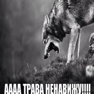 🐺 emoji stickers v1rtty Telegram sticker 19 of 62