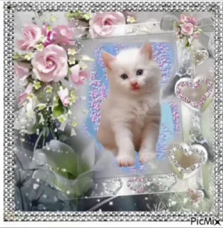 🌟 emoji открытки кошки @satori_666 Telegram sticker 3 of 96