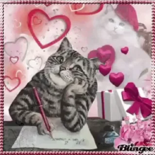 🌟 emoji открытки кошки @satori_666 Telegram sticker 5 of 96