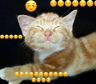 🌟 emoji лисино Telegram sticker 9 of 31