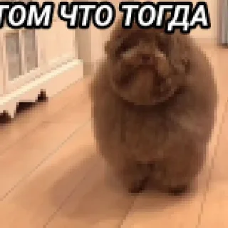 😜 emoji Ебучие Telegram sticker 14 of 15
