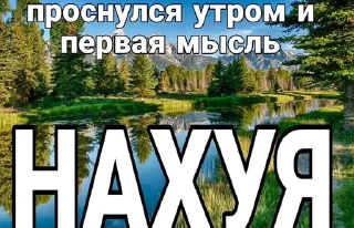 Sticker from imfxd 4.0