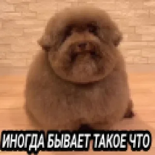 🤪 emoji Ебучие Telegram sticker 13 of 15