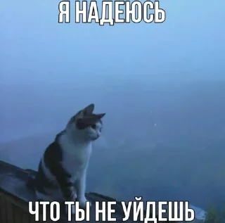 🌟 emoji Ты правда…? Telegram sticker 7 of 42