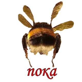 👋 emoji жуки пауки Telegram sticker 13 of 100