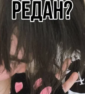 🕷 emoji 🕸️Редан пауки🕸️ @Redancvk29 Telegram sticker 17 of 22