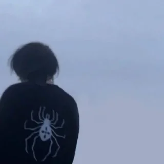 🕷 emoji 🕸️Редан пауки🕸️ @Redancvk29 Telegram sticker 11 of 22
